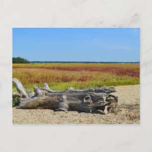 Postales de Hammonasset