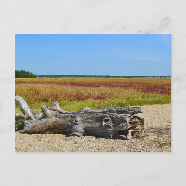 Postales de Hammonasset (Anverso)