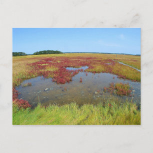 Postales de Hammonasset