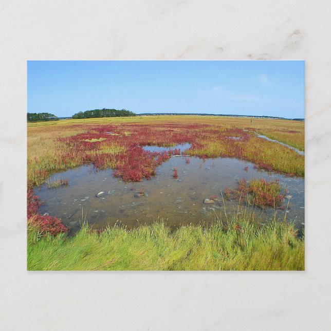 Postales de Hammonasset (Anverso)