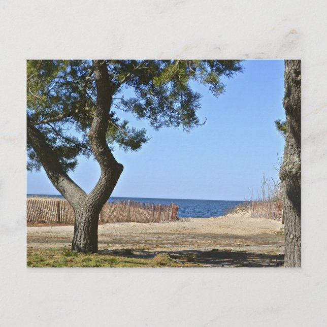 Postales de Hammonasset Beach (Anverso)