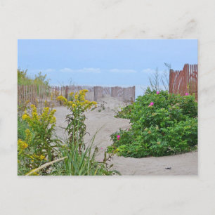 Postales de Hammonasset Beach