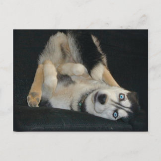 Postales de Head Over Heals