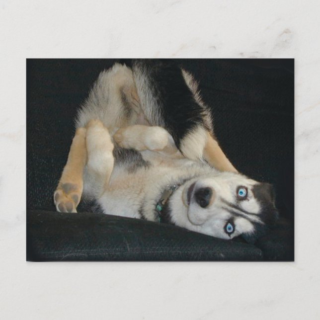 Postales de Head Over Heals (Anverso)