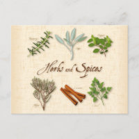 Postales de hierbas y especias