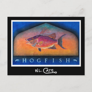 Postales de Hogfish