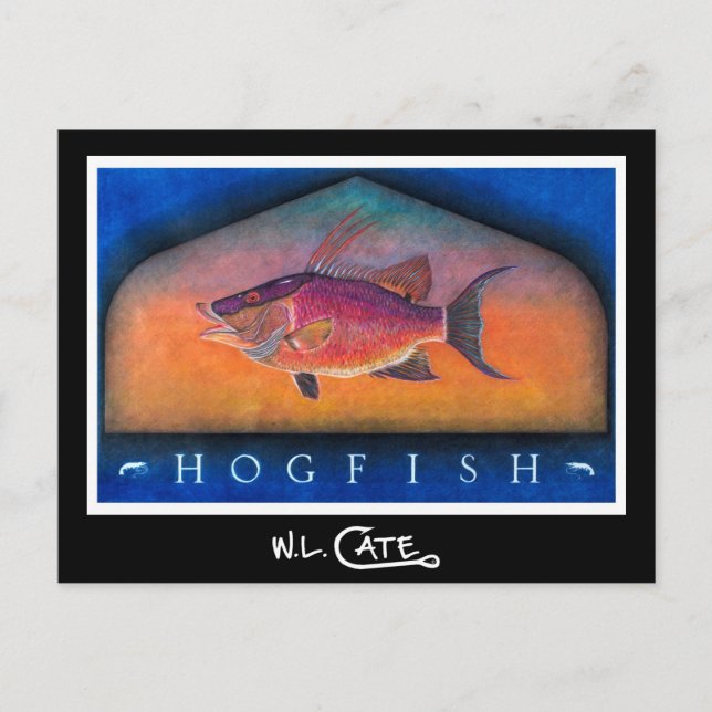 Postales de Hogfish (Anverso)