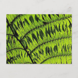 Postales de hoja verde