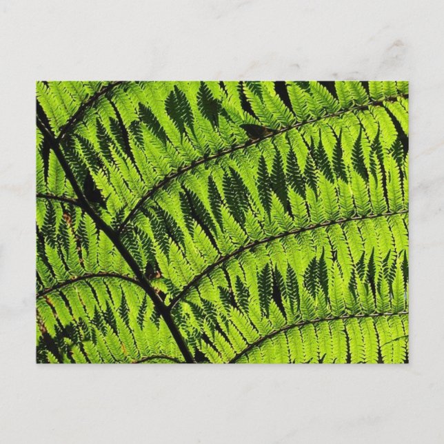 Postales de hoja verde (Anverso)