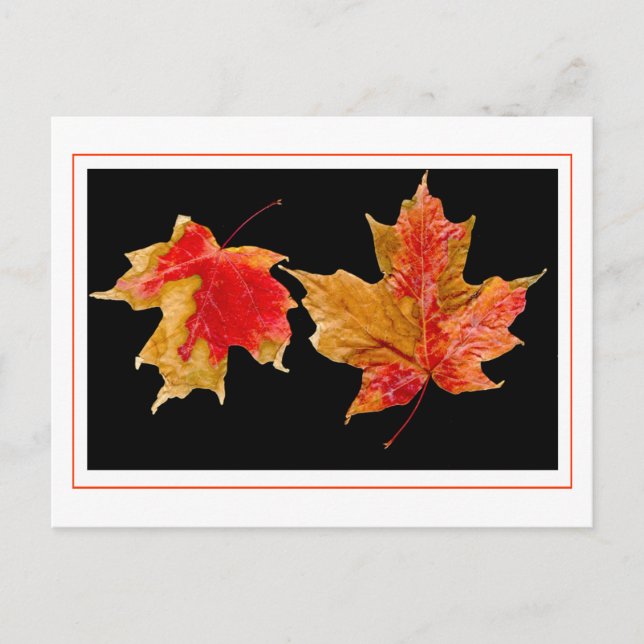 postales de hojas de otoño (Anverso)