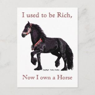 Postales de humor para caballos
