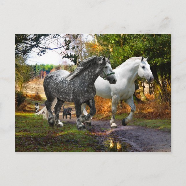 Postales de "In From the Meadow" (Anverso)