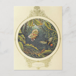 Postales de insectos de época