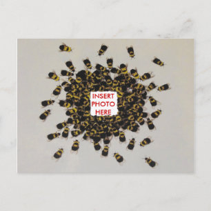 Postales de inserción de FOTO de abejas ocupadas