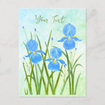 Postales de Iris Flowers