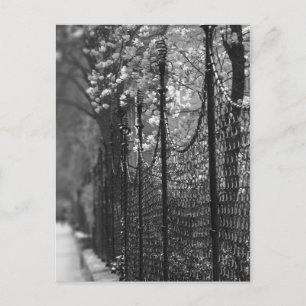 Postales de jardín cercado