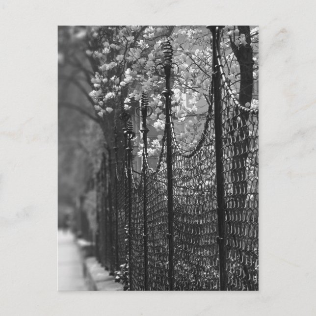 Postales de jardín cercado (Anverso)