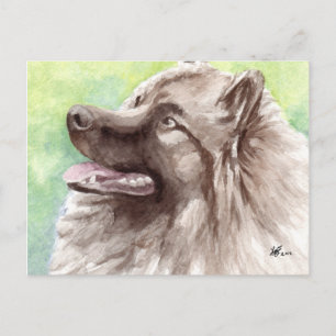 Postales de Keeshond