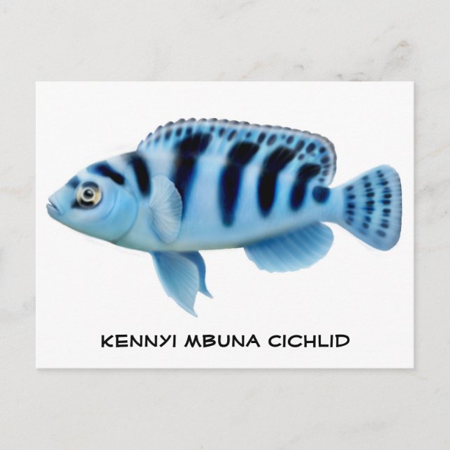 Postales de Kennyi African Cichlid (Anverso)