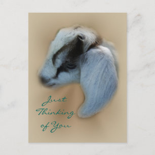 Postales de Kid Goat - personalizar
