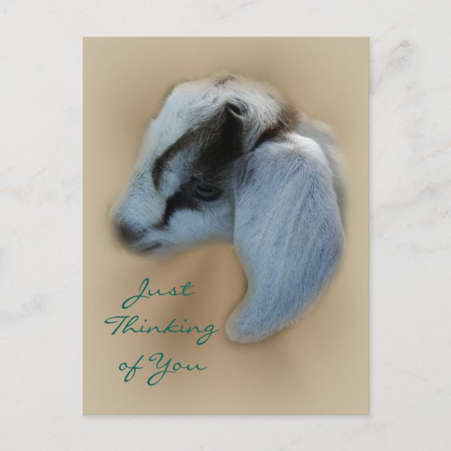 Postales de Kid Goat - personalizar (Anverso)