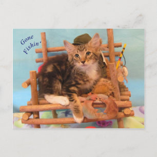 Postales de Kitten Gone Fishin'