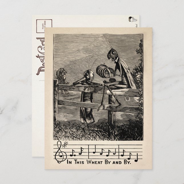 Postales de la canción de Grasshopper de Victoria (Anverso / Reverso)