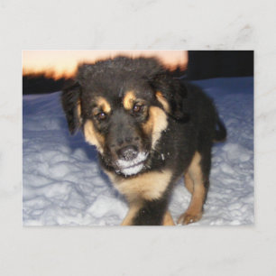 Postales de la cara de silencio