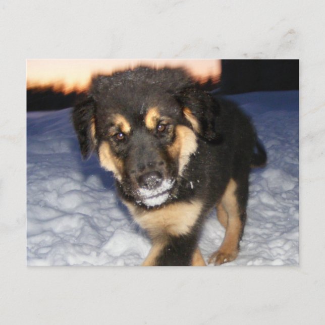 Postales de la cara de silencio (Anverso)