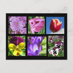 Postales de la colección de flores de primavera