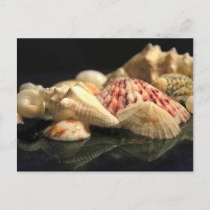 Postales de la colección de veranos de mariscos