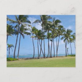 Postales de la Costa de Hawái