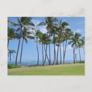 Postales de la Costa de Hawái