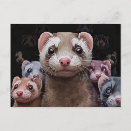 Postales de la familia Ferret