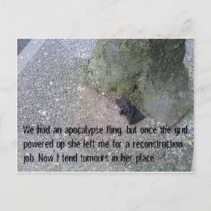 Postales de la historia de amor post-apocalipsis #