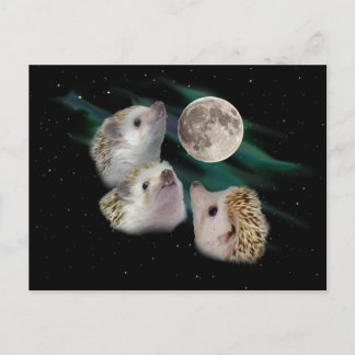 Postales de la Luna de Tres Hedgehog