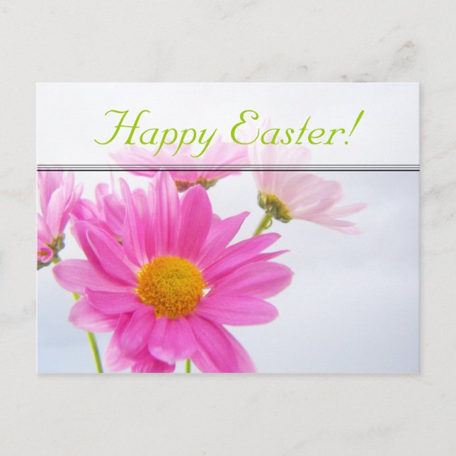 Postales de la margarita rosada de Pascua (Anverso)