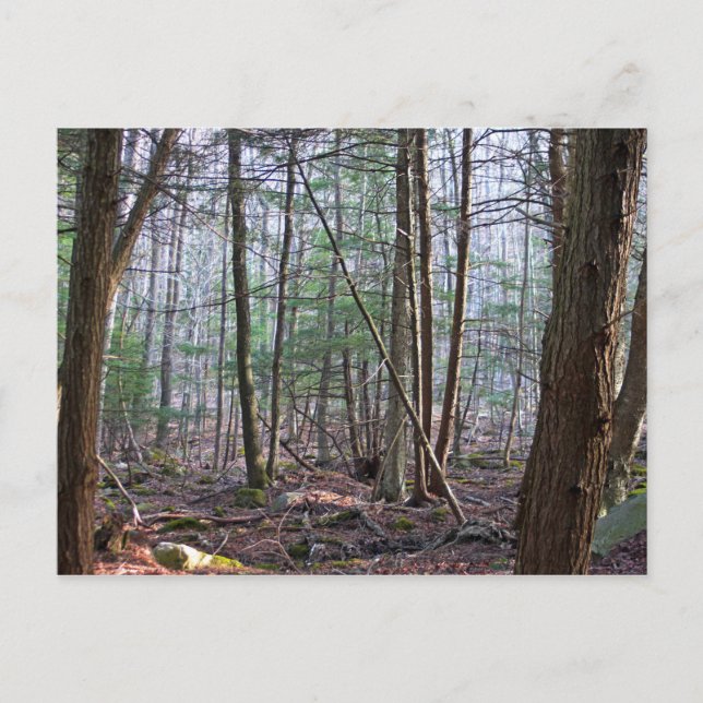 Postales de la montaña de Octubre (Anverso)