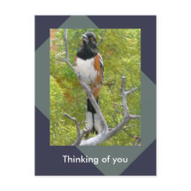 Postales de la naturaleza de lado confuso hacia la