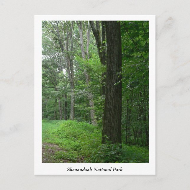 Postales de la noche de verano de Guay (Anverso)