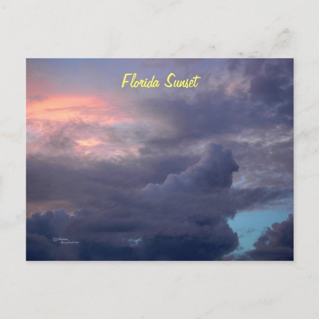 Postales de la puesta de sol de Florida (Anverso)