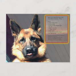 Postales de la receta de parrilladas de ternera de