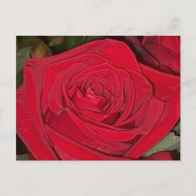 Postales de la rosa roja radiante (Anverso)