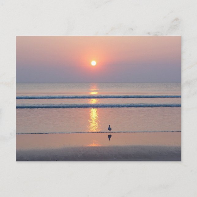 Postales de la Seagull Daytona Beach FL Ocean Sunr (Anverso)