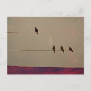 Postales de la serie de serenidad