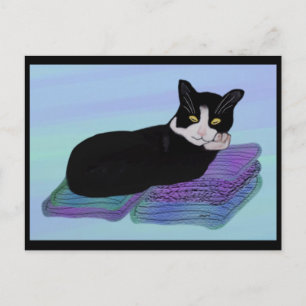 Postales de la siesta del gato de Tuxedo