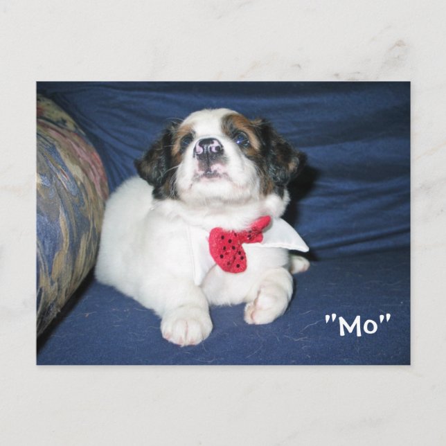 Postales de la Sociedad Humana Amazónica: Precious (Anverso)