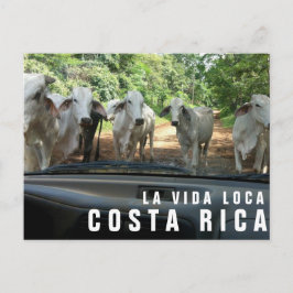 Postales de la tarjeta postal Paradise Vacation Ph