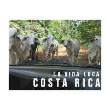 Postales de la tarjeta postal Paradise Vacation Ph