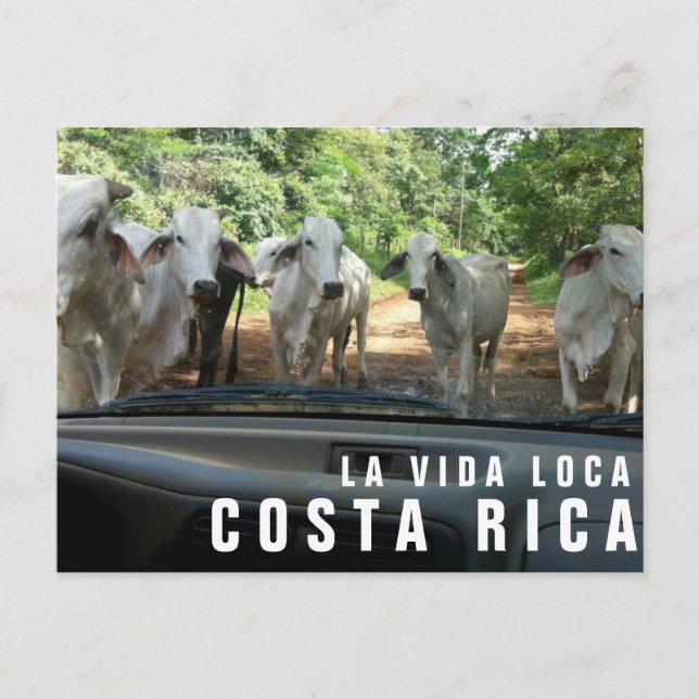 Postales de la tarjeta postal Paradise Vacation Ph (Anverso)